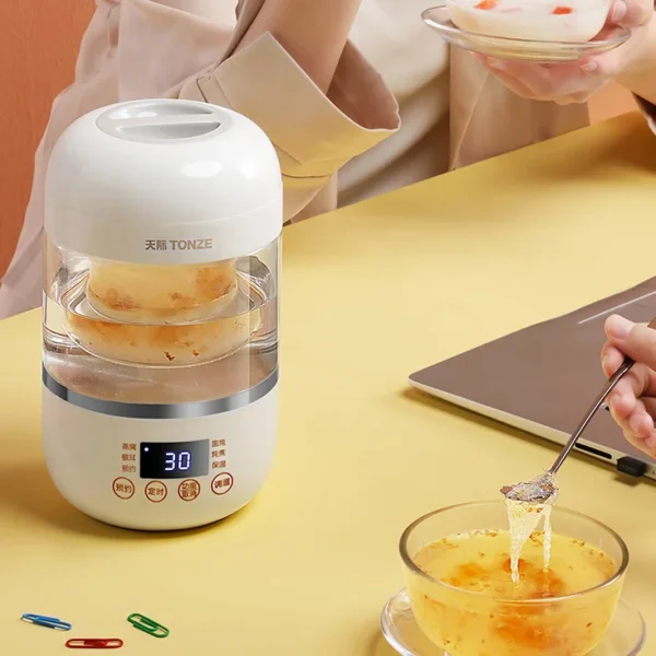 Tonze 700ml Multi-Function Bird Nest Cooker Porridge Soup Stew Cup Mini Slow Cooker To Cook Bird Nest